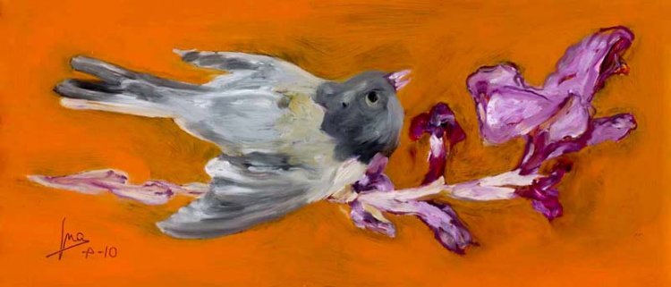 ID-9G Limited Edition Gliclee Print "Junco Iris" 14x6 - Click Image to Close
