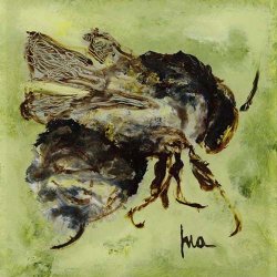 ID4G Limited Edition Giclee Print "Flying Bee" 16x16
