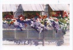 CB-W4 Watercolor Greeting Card, "Artworks Flowerboxes"