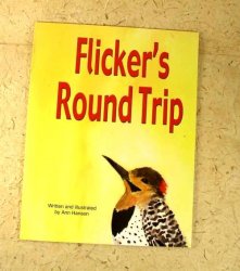 AH-W1 Flicker's Round Trip Book