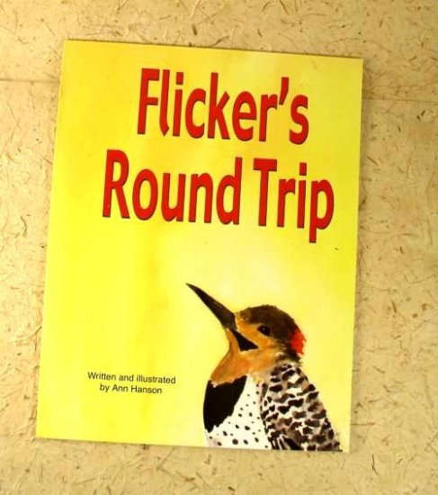 AH-W1 Flicker's Round Trip Book - Click Image to Close