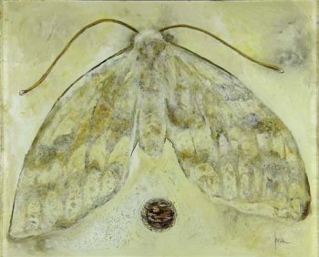 ID-6G Limited Edition Giclee Print "Winter Moth" 20x16