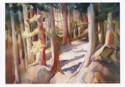 CB-W4 Watercolor Greeting Card, "Forest Colors"